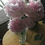 Michelle Pilon - @michelle.pilon.79 - Instagram