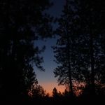 Michelle Pitcher - @pitchergirl01 - Instagram