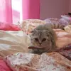 michelleplateau - @michelleplateau - TikTok