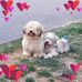 Michelle Blache - Facebook