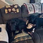 Michelle Plumlee Silguero - @southernwinddesigns - Instagram