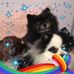 Michelle Pohl - Facebook