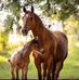 Michelle Pohl - Facebook