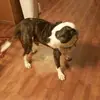 Michele Poling - @michele.poling - TikTok