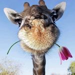 Michelle Polley - @chelly06023 - Instagram