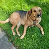 Michelle_Powers - @michelle_powers - TikTok