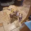 michellepower72 - @michellepower72 - TikTok
