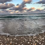 M Michelle Pranger - @chellebr8 - Instagram