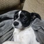 Michelle Prater - @michellespann80 - Instagram