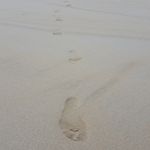 Michelle Prentice - @newword_aday - Instagram