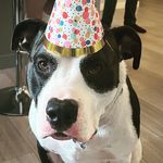 Michelle Prevost - @mamas.boy.mouse - Instagram