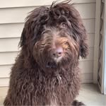 Tammy Michelle Privette - @snickerdoodle92020 - Instagram