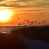 Michelle West Procopio - @michelle.west.pro - TikTok