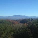 Michelle Proffitt Tepker - @bratmite - Instagram