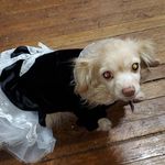 Michelle Prouty - @cwolffgurl - Instagram