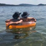 Michelle Prouty Doran - @tadpoletilly - Instagram