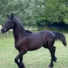 Michele Pucci977 - @michelepucci6 - TikTok