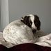 Michele Pyne - Facebook