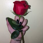 Michelle Autumn Pyne - @mommamichka - Instagram