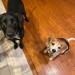 Michele Quattlebaum - @quattlebaummichele - Instagram