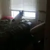 michellesrack - @michellesrack - TikTok