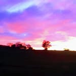 Michelle Rainer-Gaughan - @rainergaughan - Instagram