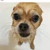 Michelle - @michellerausch - TikTok