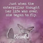 Michelle Lee Krakowski Badore - @michelle_krakowski - Instagram
