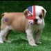 Michelle Ramage - Facebook