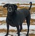 Michelle Ranta - Facebook