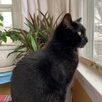 Michelle Ranta - @misuntaide - Instagram