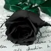 Michelle Rasic - @michellerasic2 - TikTok