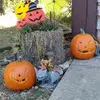 michellerasico - @michellerasico - TikTok