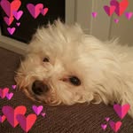 Michelle Foster-Ratcliffe - @michelle_ratcliffe - Instagram