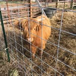 Michelle Rawls - @mack_attackhighlands - Instagram