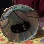 Michelle Rayner - @rayner9743 - Instagram