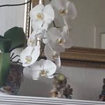 Michelle Rayner - @michelle.rayner.906 - Instagram