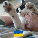 Michelle Reader - @readermichelle - Instagram