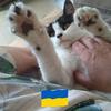 michellereader312 - @michellereader312 - TikTok