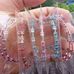 Michelle retainer ready to wear - Facebook