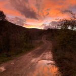 Michelle Reeve - @lincsbtma - Instagram