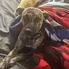 Michelle Lenderman - @michelle.lenderman - TikTok