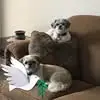 Michelle Daley Ribble - @michelle.daley.ri - TikTok