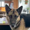 Michelle_R - @michelle_rickard - TikTok