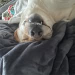 Michelle Rickard - @suggieshell - Instagram