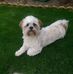 Michelle Rickman - Facebook