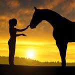 Michelle Waldo-Riding From the Inside Out Podcast - @ridingfromtheinsideout - Instagram