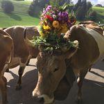 Michelle Riesen - @riesen2631 - Instagram