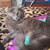 Michelle Ringler - Facebook