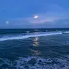 Michelle Giurini - @michelle.giurini - TikTok